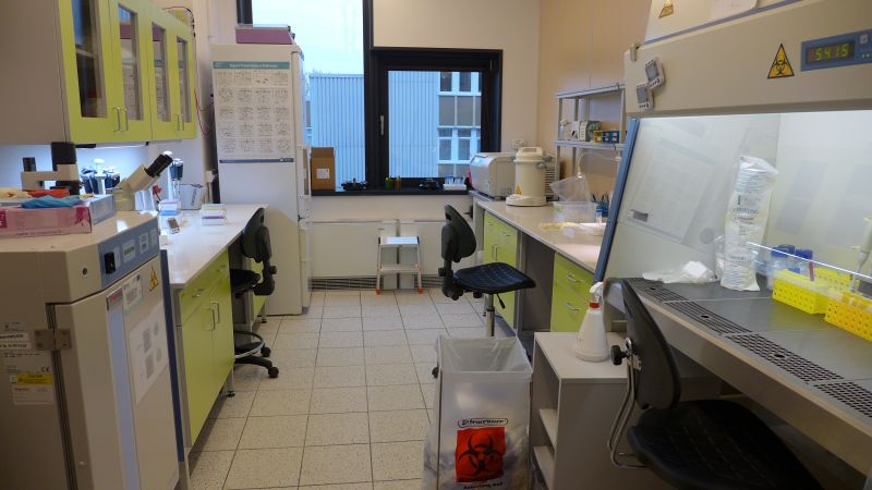 File:Experimental facility cell culture room.jpg