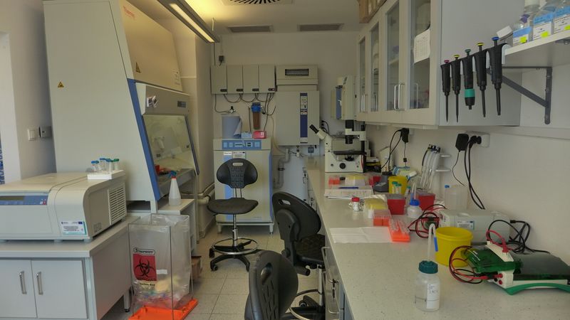 File:Experimental facility molecular biology room.jpg